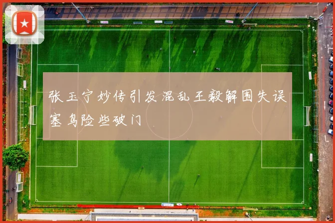 张玉宁妙传引发混乱王毅解围失误塞鸟险些破门