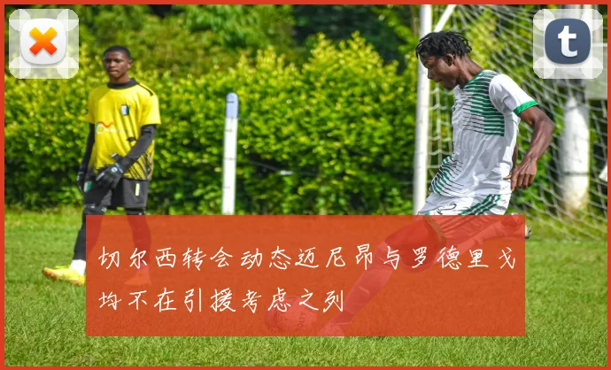 切尔西转会动态迈尼昂与罗德里戈均不在引援考虑之列