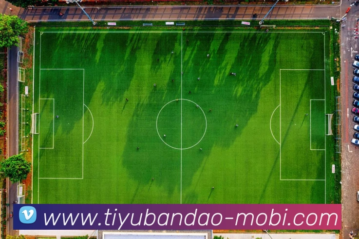 半岛体育平台生态图