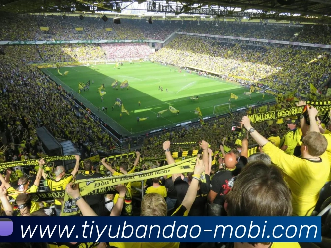 半岛体育APP 封面图